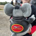 IMG-20250831-WA0034