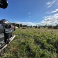 IMG-20250831-WA0038